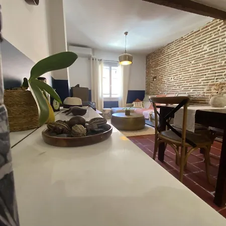 Le Saint Cyp - Briques Et Charme A * Toulouse