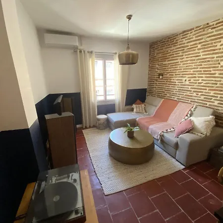Le Saint Cyp - Briques Et Charme A * Toulouse