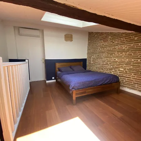 Le Saint Cyp - Briques Et Charme A Apartment Toulouse