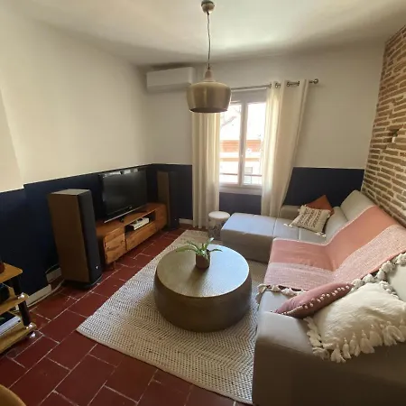 Le Saint Cyp - Briques Et Charme A Appartement Toulouse